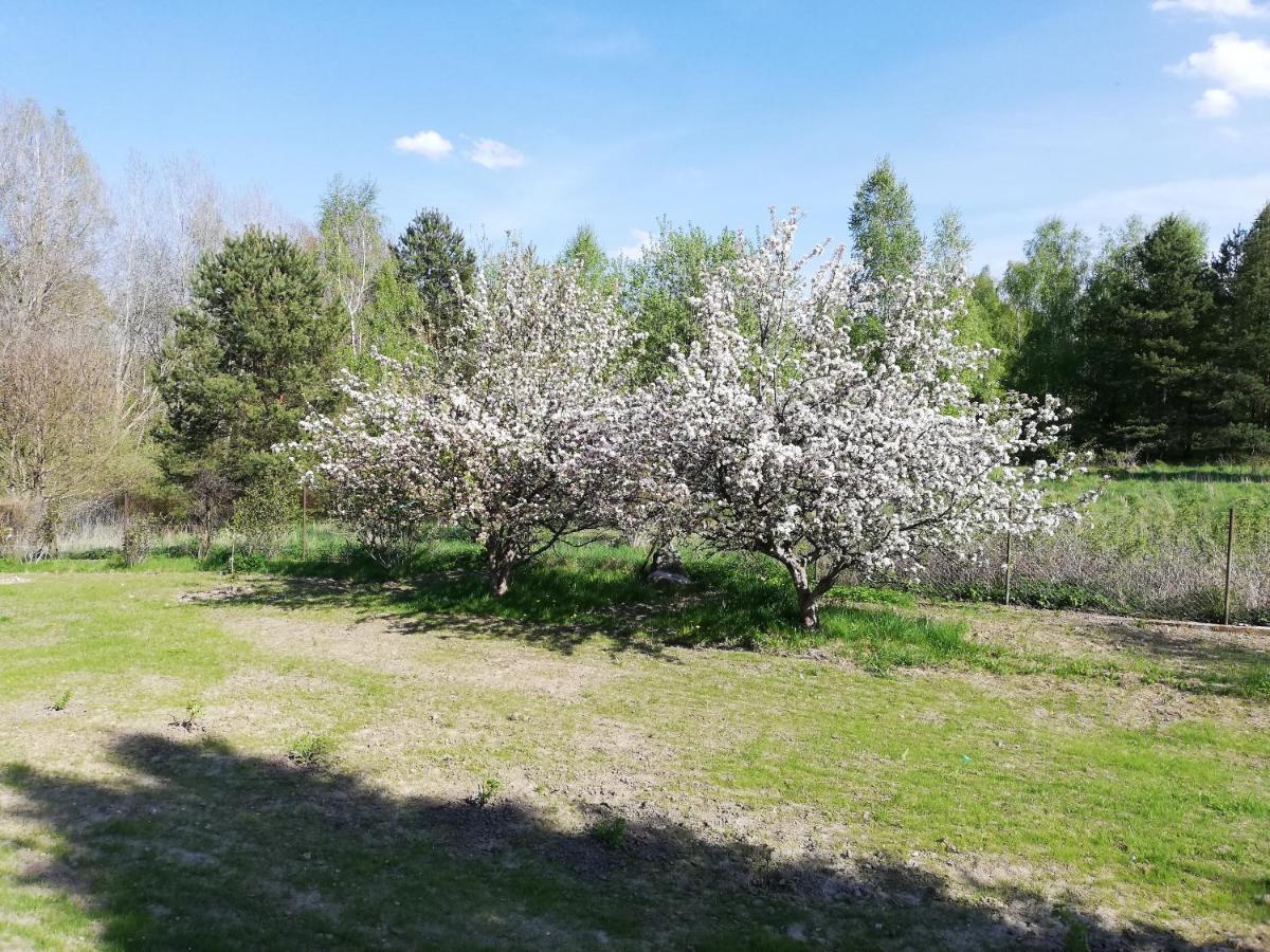 Przystanek Kozia Gora Lägenhet Exteriör bild